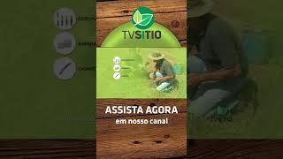 COMO ENXERTAR VIDEIRAS E DEMAIS PLANTAS