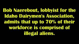 Idaho dairy lobbyist says 70% of workforce is potentially undocumented