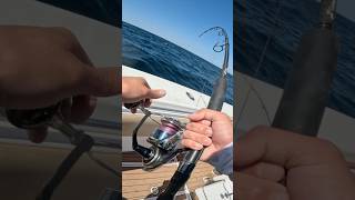 Jigging GIANT Bluefin Tuna!