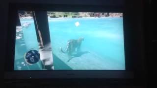 Wired farcry3 glitch- how is it moving