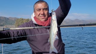 PEJERREY, BAGRES Y DIENTUDOS!!! UNA PESCA VARIADA EN EL "DIQUE LOS MOLINOS" -CÓRDOBA-ARGENTINA-