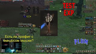 Разница на каче с макросом мышки и без в Lineage 2 Essence!!! Сервер Plum.