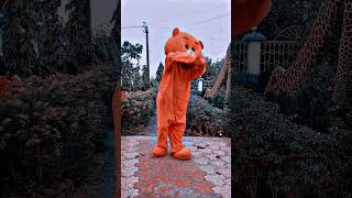 Band bajaunga jhum ke gaunga 😍teddy bear funny dance🤣 😅😇#shorts#viral#teddy #tiktok #tranding#shorts