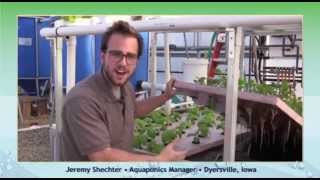 Stems & Scales - The Basics of HydroCycle Aquaponics