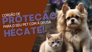 Cordão de proteção para o seu pet com Hécate!