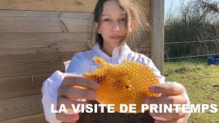 La visite de printemps