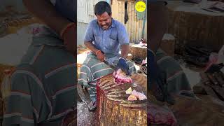 KASIMEDU SIRUTHAI DURAI FISH CUTTING VIDEO / cutting focus #kasimedu #bigfishcutting