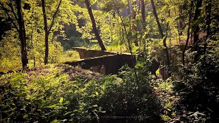 RAD-Lager Oberbergern / Dunkelsteinerwald Mostviertel  | 2. Weltkrieg 🇦🇹