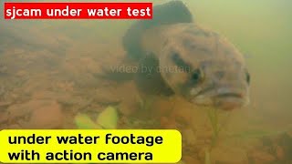 Under water video footage //a close encounter with fish //sjcam 5000x under water test