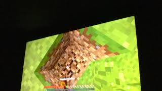 Minecraft gameplay #3