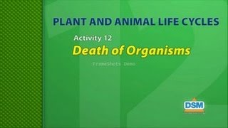 Plant and Animal Life Cycles - Activity 12: Death of Organisms