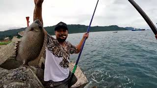 MANCING DI SPOT KERAMAT LAGI II MANCING BARONANG II Rabbitfish