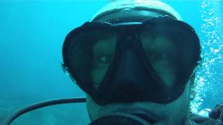 Buceo con tiburones Black tip en Tailandia