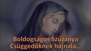 Boldogságos Szűzanya Csüggedőknek hajnala…