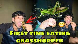 First time eating grasshopper and Yummy cooking grasshopper with salt: recipe - Cooking skill