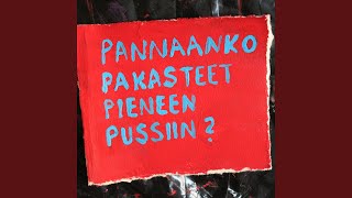 Aino ja Ali (pannaanko pakasteet pieneen pussiin?)