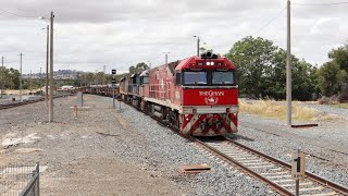 The Steel Train at Seymour 4/01/21