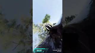 KTM RC 390 insta 360 view #shorts #ktmrc390 #insta360 #ktmindia #rc390