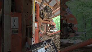 Massive rainbow heart log goes on the mill. #sawmilling