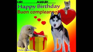 Cucciolo cane Buon compleanno tanti auguri a te happy birthday to you dog talking