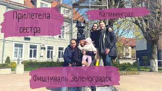 Жизнь в Калининграде//Покупки Wildberries//Прилетела сестра//Фиштиваль Зеленоградск