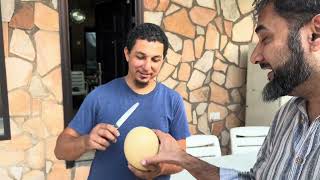 How Ostrich Egg Tastes | Adnan Rashid