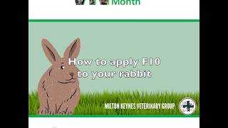 How to apply F10 to your rabbit - Tabitha Saltzer