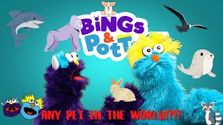 Pick any pet in the whole world!! | Puppet show for kids, toddlers, and the whole family!