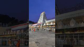 తిరుమల శ్రీవారి దర్శనం🙏😍❤️ #trendingshorts #trending #viral #youtubeshorts #trend #tirumala #trend