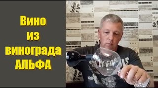 Обзор вина «Петио» из винограда Альфа!