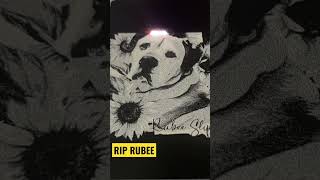 Metal card engraved in n memory of RUBEE #alldogsgotoheaven