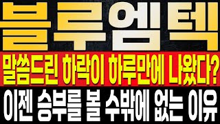 [블루엠텍 주가전망] 결국 하루만에 말씀드린 구간까지 내려왔다.. 이젠 결국 승부를 볼 수밖에 없는 이유? 의학계에 변화하는 패러다임, 절대 여기서 안끝납니다