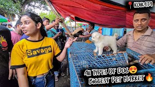 Cheapest Dog Market in India | Dog Available at a low Rate| 2024