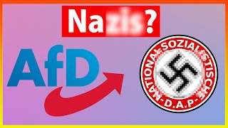 Ist die AfD eine Rechtsextreme Partei?