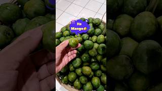 Lemon size Mango🥭! World Smallest #shortvideos #mango #shorts #youtubeshorts #trending