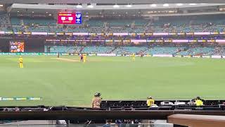 Cameron Green's one-handed stunner to dismiss Roston Chase (Crowd View).