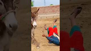 funny video comedy video 😂😂