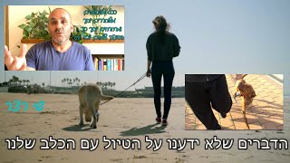 דברים שלא ידעתם על הטיול עם הכלב שלכם