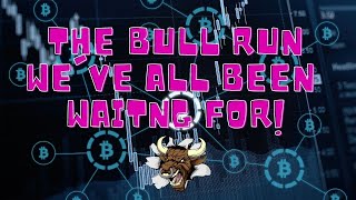 THE BULL RUN IS OFFICIALLY HERE!(THIS IS THE RUN WE'VE BEEN TALKING ABOUT FOR MONTHS NOW!)