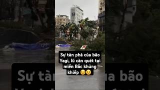 Sự tàn phá của bão Yagi, lũ càn quét tại miền Bắc thật khủng khiếp #bãoyagi #shortvideo