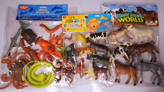 Sea Animals Educational 13+ Dinosaurs Horse Tiger Leapord Zebra Cow Camel Sheep Elephant Shark. #7