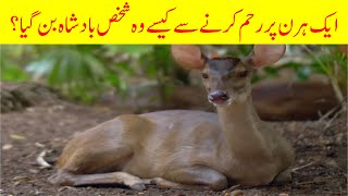 Story of Kindness to KingShip - رحمدلی پر بادشاہت کیسے مل گئی ؟  #KitabFarosh