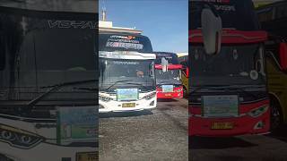 Athar Naik Bus Basuri #shorts #shortvideos #naikbus #basuribus #piknik #naikbustayo  #viralshort