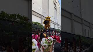 GURNEY PLAZA LION DANCE PERFORMANCE 2024