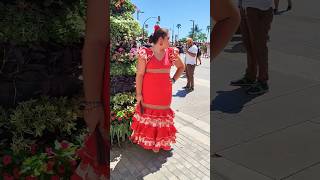 🇪🇦 Feria de Málaga 2024 #feriamalaga #feriademalaga #malaga #feria #andalucia #flamenco