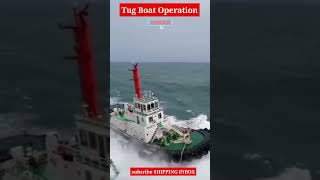 Tug Boat plays crucial role | #shorts | #shippinginbox | #viralvideo | #tugboats