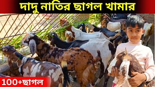 দাদু নাতির ছাগল খামার। ১০০ এর অধিক ছাগল রয়েছে এই খামারে সব বিদেশী জাতের ছাগল।