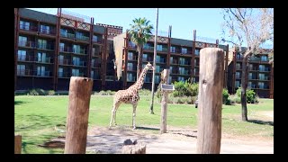 DISNEY'S ANIMAL KINGDOM LODGE | EXPLORING THE RESORT | SAVANNAH VIEW ROOMS, & SEEING ANIMALS!