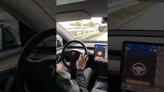 ICH HABE DEN TESLA-AUTOPILOTEN GETESTET…🗿🚘