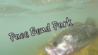 Pace Bend Park Fishing